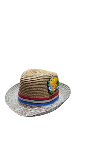 Boys beach hat