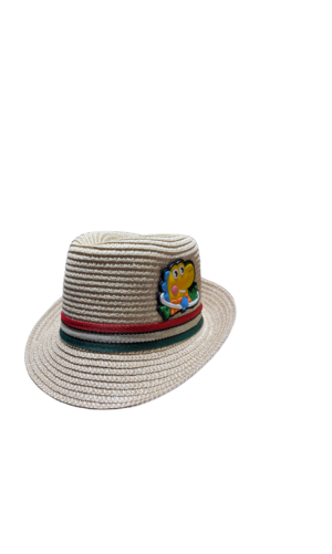 Alternative view of Boys beach hat