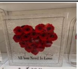 natural preserved heart flowers in a glass box