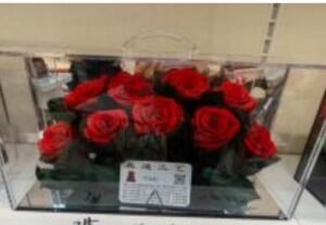 natural preserved flowers in big glass box