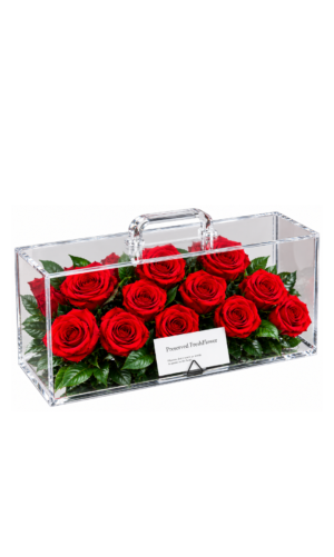 Natural preserved flowers in big glass box