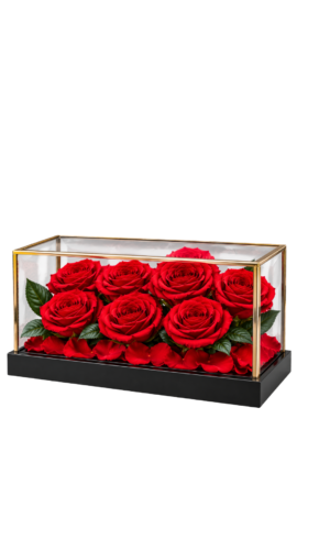 Natural preserved flowers in glass box