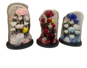 natural preserved flowers dome shape glass