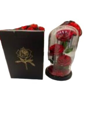 natural preserved 3 roses in dome shaped glass