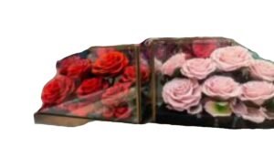 natural preserved flowers in glass box